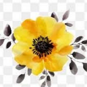 Meet your Posher, Hallie